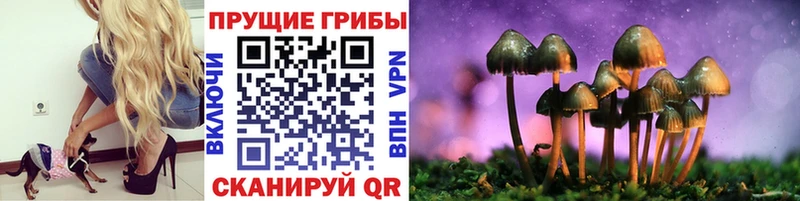 наркотики mega зеркало Псилоцибиновые грибы прущие грибы Кохма